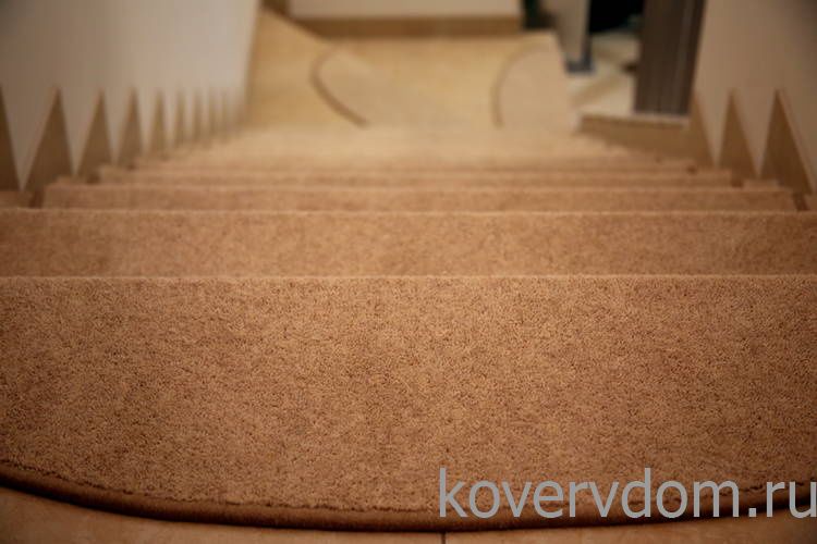 Ковровые ступеньки HIGHT-класс с укладкой на лестницу Ковровые ступеньки HIGHT-класс с укладкой на лестницу